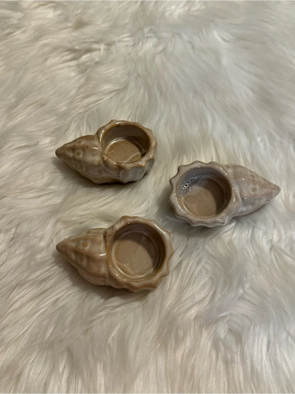N/A trio seashell